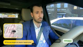 Эротическое шоу Фейк Taxi #5 - Пятый выпуск - Даша